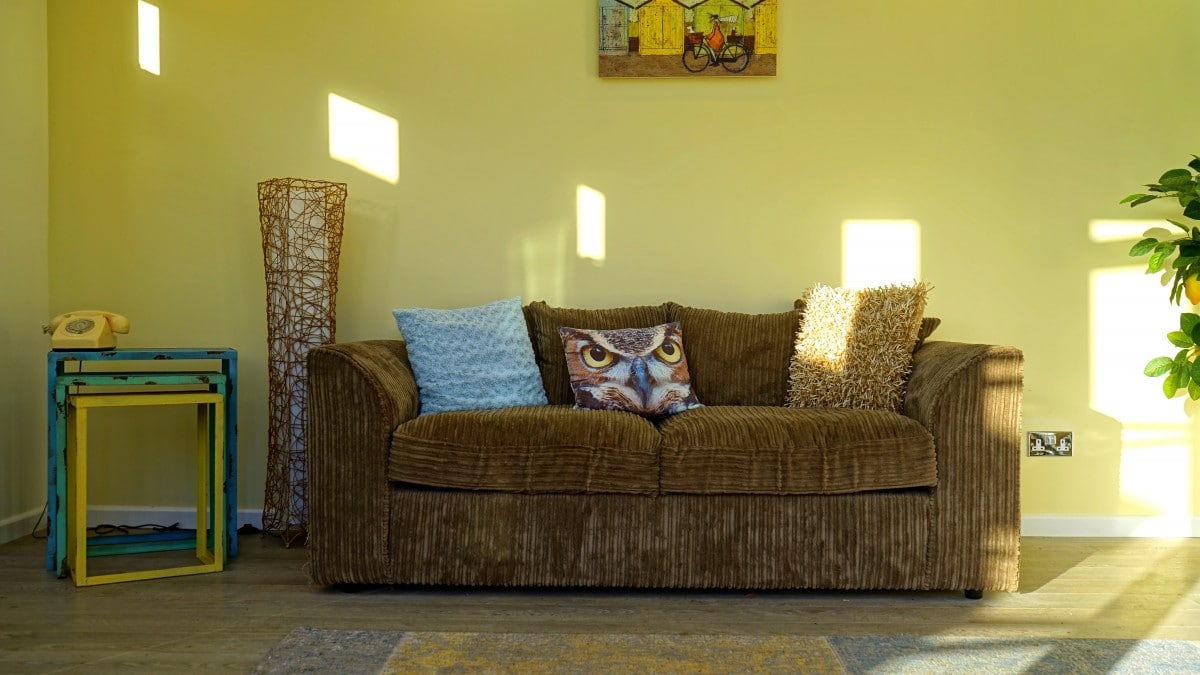 Sofá marrom com almofada azul, de pelos e com estampa de coruja. Luz do sol batendo na parede. Imagem do conteúdo lavar sofá Chapada dos Guimarães.