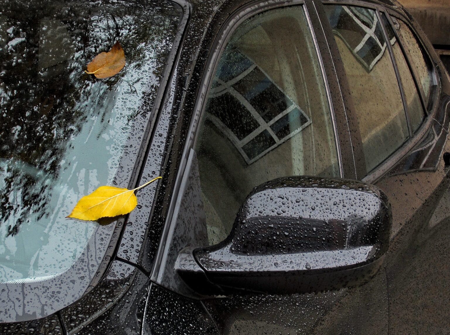 Carro preto na chuva, com folhas amarelas no para-brisa. Imagem ilustrativa texto mancha de vidro automotivo.