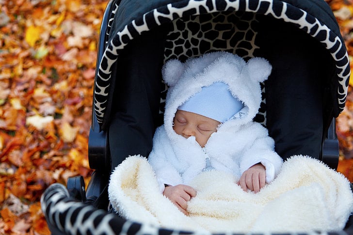 Bebê dormindo no carrinho de tecido animal print, com casaco branco de capuz e orelhas, chão com folhas secas. Imagem do conteúdo sobre lavar carrinho de bebê.