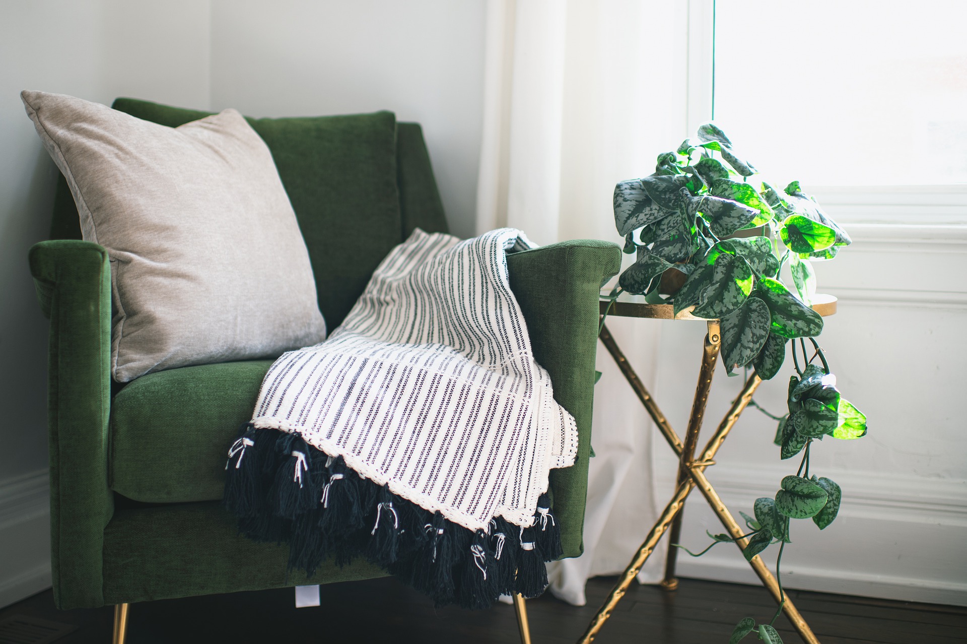 Foto de uma poltrona verde ao lado de uma planta, com almofada. Imagem ilustrativa para o texto limpeza de sofá a seco.